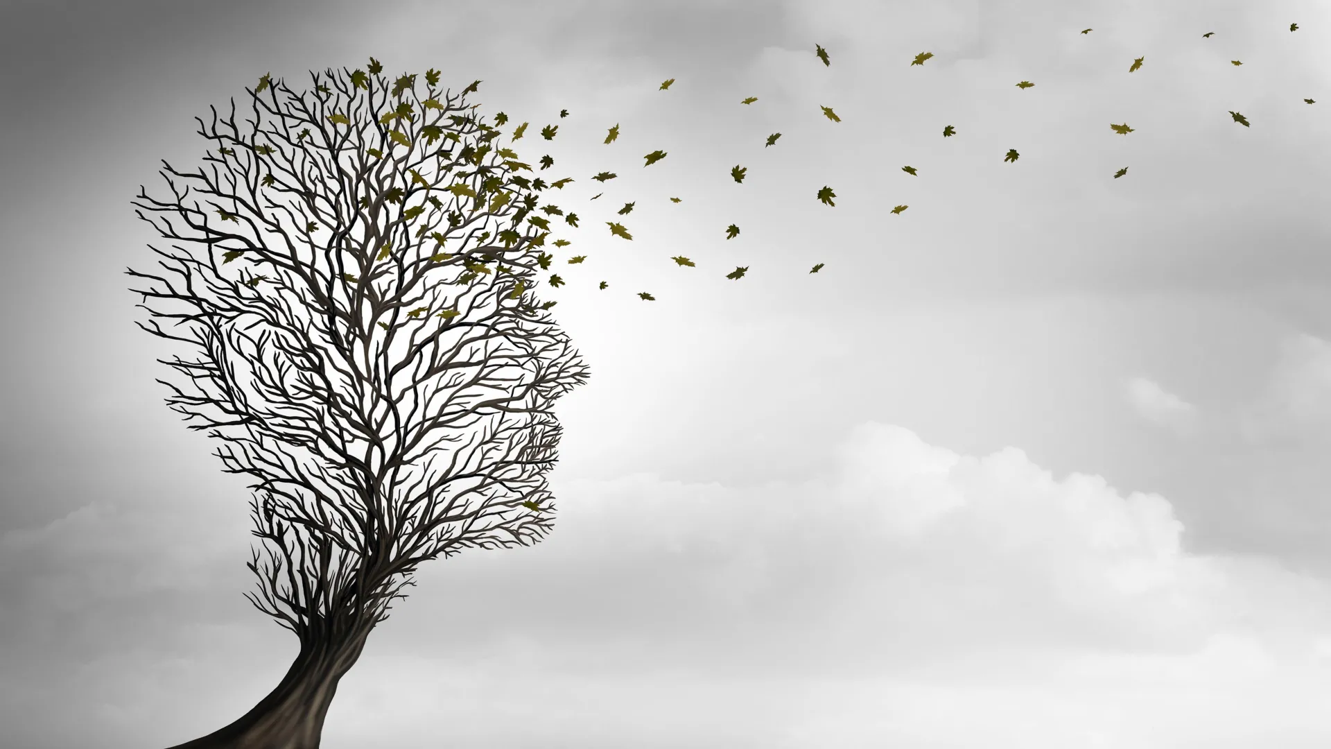 شواهد ژنتیکی تأیید می کند که بلوغ زودرس پیری و بیماری را تسریع می کند