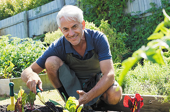 سه حرکت برای انطباق عملکردی