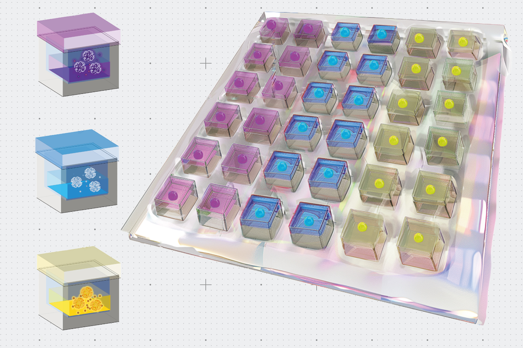 پچ جدید ممکن است به بهبود قلب کمک کند | اخبار MIT