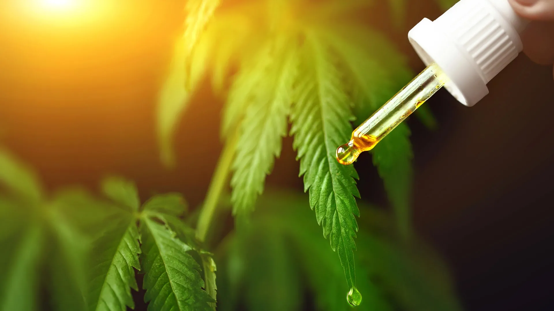 پیشرفت شگفت انگیز CBD درد را بدون عوارض جانبی تسکین می دهد