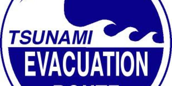 آیا سیستمی برای هشدار به مردم در مورد وقوع سونامی قریب الوقوع وجود دارد؟