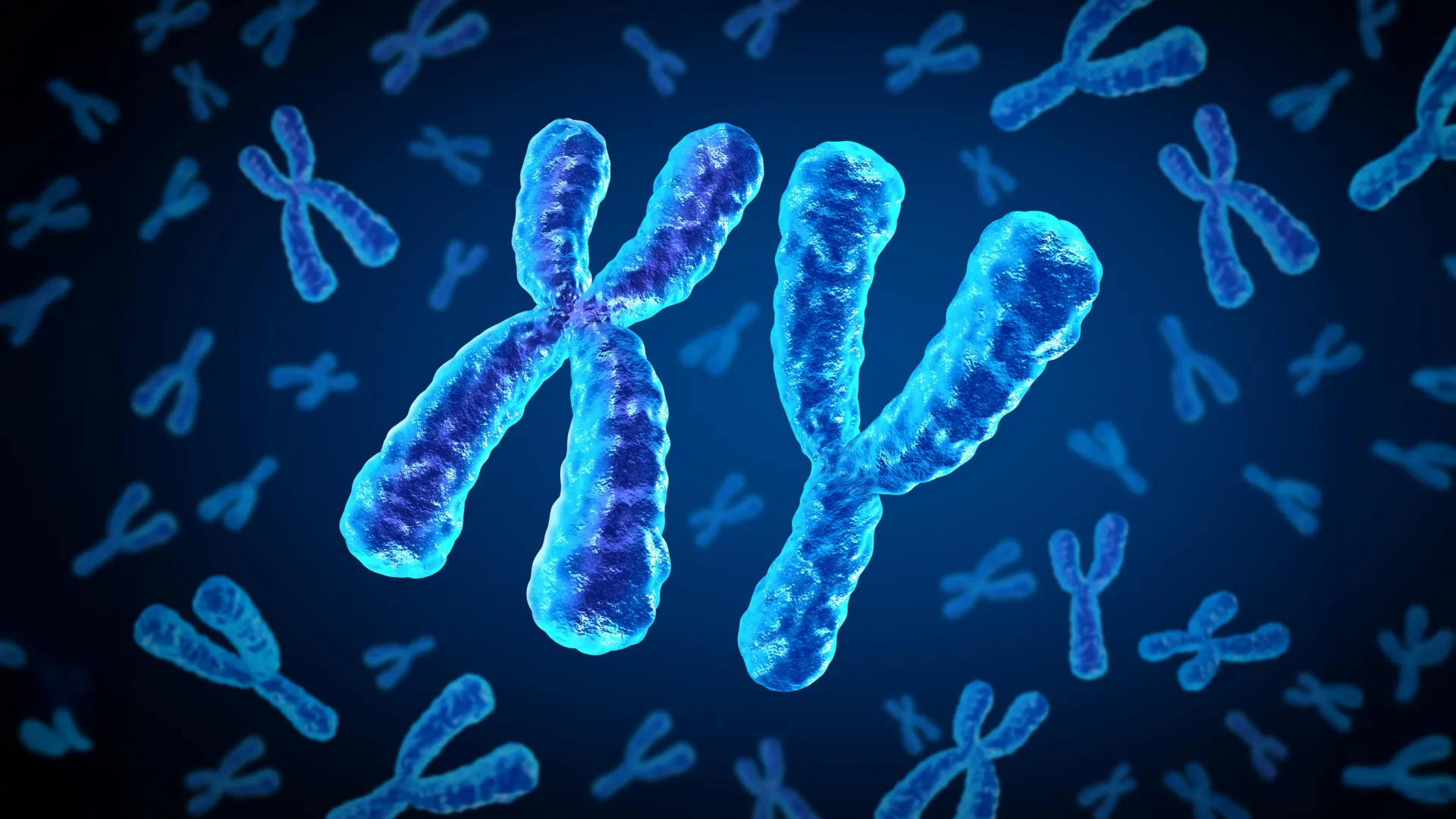 چرا به نظر می رسد خطر بیماری قلبی در دیابت نوع 2 در مردان و زنان متفاوت است؟